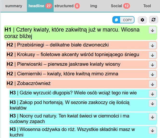 struktura nagłówków zbadana za pomocą wtyczki meta seo