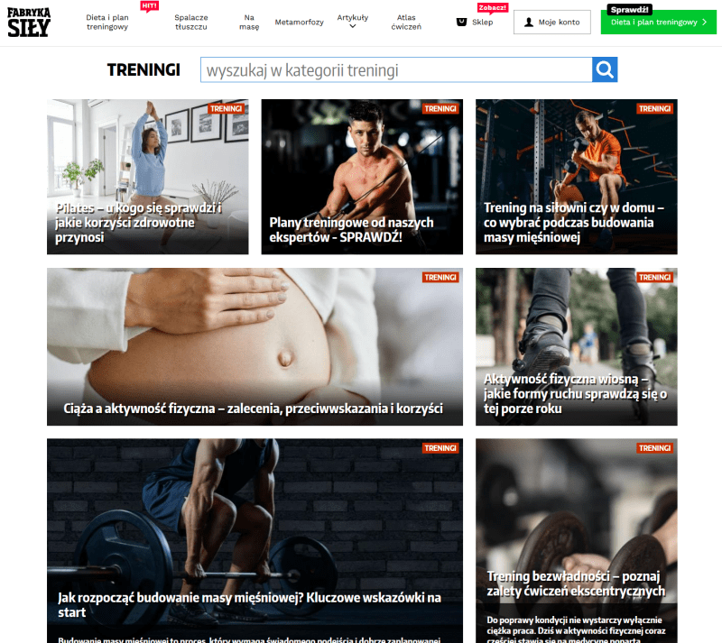 Liczne artykuły na blogu Fabryka Siły mające za zadanie zwiększenie sprzedaży produktów w ich sklepie internetowym. Źródło: www.fabrykasily.pl/treningi