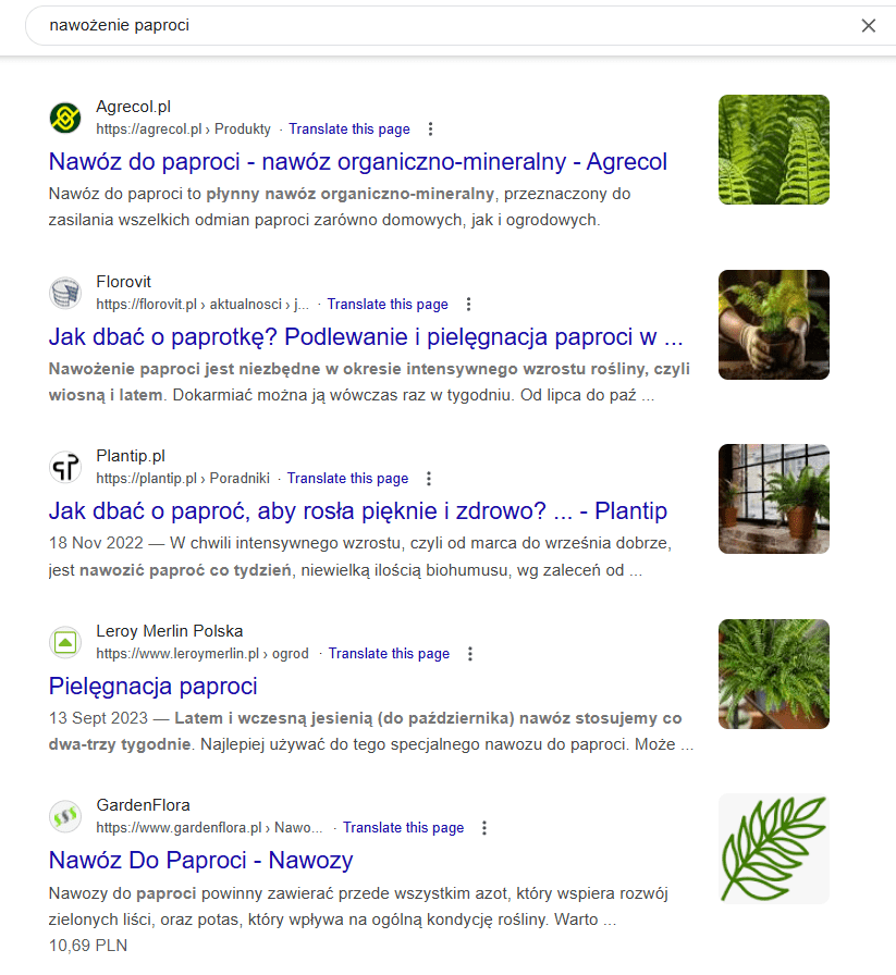 analiza-konkurencji-w-google