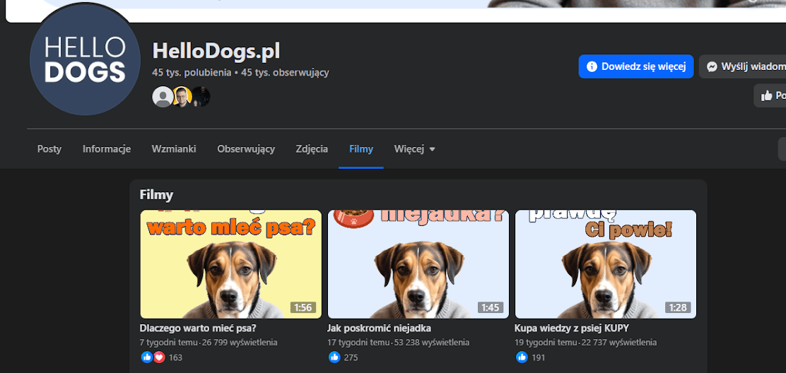 hellodogs statystyki