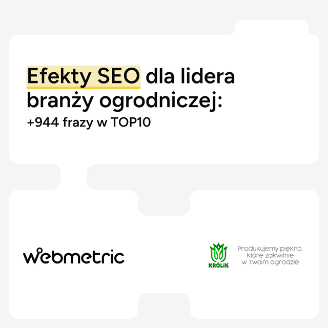 cebulki case study okładka
