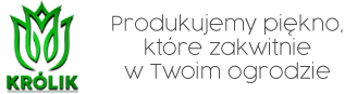 krolik cebulki kwiatowe logo