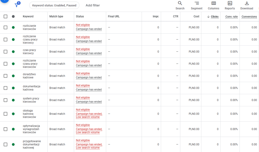 Analiza kampanii Google Ads w panelu reklamowym.